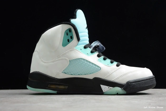 1st Kicks Shoes 5 Island GoAnywhere CN2932- Jordan Air Green 1087 1127